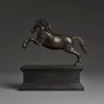 Shota Suzuki, The Confederate Rose, 2025