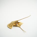 Shota Suzuki, The Confederate Rose, 2025