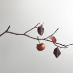 Shota Suzuki, The Ginkgo, 2025