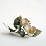 Shota Suzuki, The Japanese Silver Leaf [Tsuwabuki], 2024