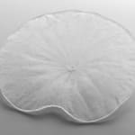 Satomi Den, Camellia Cup, 2024
