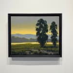 Tom Soltesz, Eucalyptus