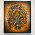 Steven Spazuk, Darwin 1 (Frigate)