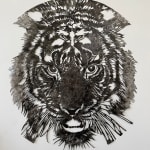 Steven Spazuk, Darwin 1 (Frigate)