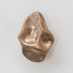 Eva Anna Gulacsi, Tough Pinch Small Knob/Hook