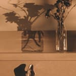 Eva Anna Gulacsi, Tough Pinch Small Knob/Hook