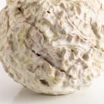 Elizabeth Blake, Tidal Centerpiece