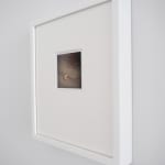 Ans Westra, Picture Remains I, 2001