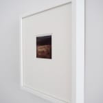 Ans Westra, Picture Remains I, 2001