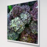 Ans Westra, Picture Remains I, 2001