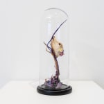 Angela Singer, Water Glass, 2024