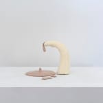 Angela Singer, Bird Shot, 2013