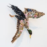 Angela Singer, Bird Shot, 2013