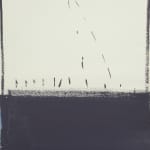 Sandra Bushby, Studies for Pouring light, 2024
