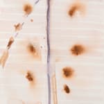 Sandra Bushby, Studies for Pouring light, 2024