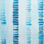 Sandra Bushby, Studies for Pouring light, 2024