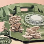 Emily Andrews, Relics