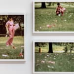 Documentation photos of the artists spreading pink trash in park