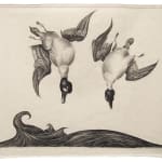 Graphite drawing on canvas of two upside down ducks falling down towards waves