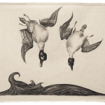 Graphite drawing on canvas of two upside down ducks falling down towards waves