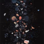 Rectangular black painting with drinking gourds, hands, pottery, and seashells