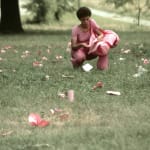 Documentation photos of the artists spreading pink trash in park