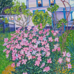 White house with pink flowered bush in foreground