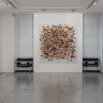 Susan Swartz, Evolution of Nature 21, 2021
