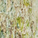 Susan Swartz, Evolution of Nature 1, 2020