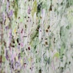 Susan Swartz, Evolution of Nature 6, 2020