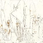 Susan Swartz, Nature Revisited 54, 2018