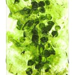 Susan Swartz, Nature's Bouquet 59, 2022