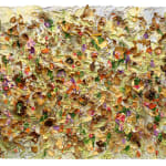 Susan Swartz, Evolution of Nature 12, 2020