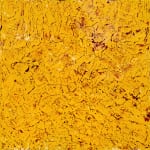 Susan Swartz, NZ Fragmented 6, 2016
