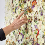 Susan Swartz, Evolution of Nature 6, 2020