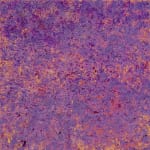 Susan Swartz, Afterlight, 2016