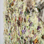 Susan Swartz, Evolution of Nature 6, 2020