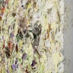 Susan Swartz, Evolution of Nature 6, 2020