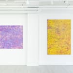 Susan Swartz, Afterlight, 2016