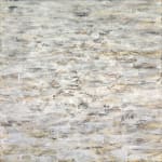 Susan Swartz, Nature Revisited 22, 2017
