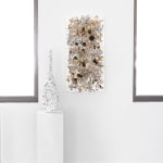 Susan Swartz, Evolution of Nature 22, 2021