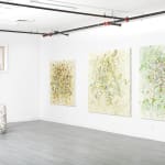 Susan Swartz, Evolution of Nature 1, 2020