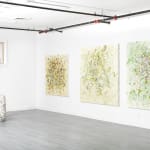 Susan Swartz, Evolution of Nature 6, 2020