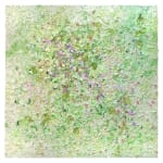 Susan Swartz, Evolution of Nature 6, 2020