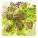 Susan Swartz, Emerging Bouquet 20, 2019