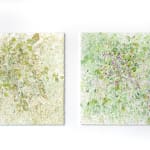 Susan Swartz, Evolution of Nature 6, 2020