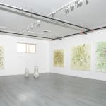 Susan Swartz, Evolution of Nature 6, 2020