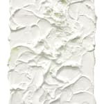 Susan Swartz, Blooming 1, 2021