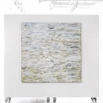 Susan Swartz, Nature Revisited 22, 2017