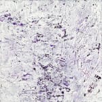 Susan Swartz, Purple Reverie 2, 2015